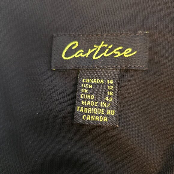 Cartise Black Dress - Picture 9 of 9